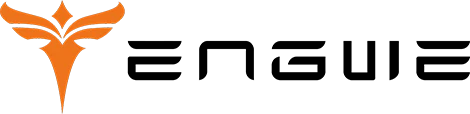 Engwe Official Store
